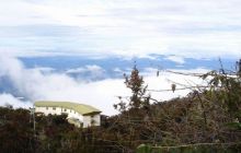 Borneo - lipiec 2006