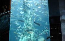 Borneo - lipiec 2006