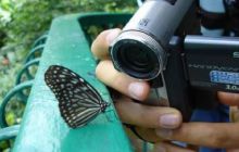 Borneo - lipiec 2006