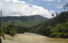 Borneo - lipiec 2006