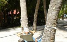 Borneo - lipiec 2006