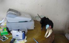 Borneo - lipiec 2006