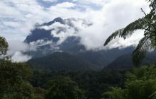 Borneo - lipiec 2006