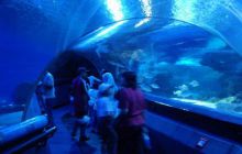 Borneo - lipiec 2006