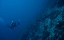 Borneo - lipiec 2006