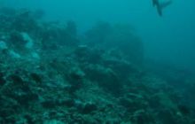 Borneo - lipiec 2006