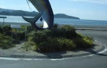 Borneo - lipiec 2006