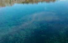 Floryda - grudzień 2010