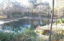 Floryda - grudzień 2010