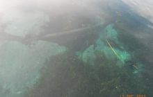 Floryda - grudzień 2010