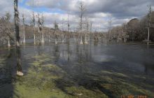 Floryda - grudzień 2010