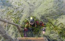 Floryda - grudzień 2010