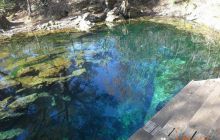 Floryda - grudzień 2010