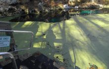 Floryda - grudzień 2010