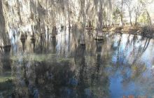 Floryda - grudzień 2010