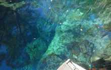 Floryda - grudzień 2010