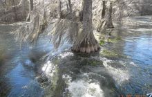 Floryda - grudzień 2010