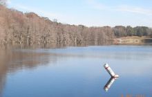 Floryda - grudzień 2010