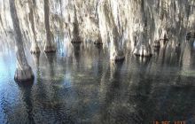 Floryda - grudzień 2010