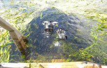 Floryda - grudzień 2010