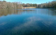 Floryda - grudzień 2010