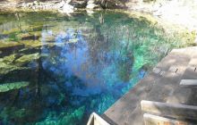 Floryda - grudzień 2010