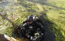 Floryda - grudzień 2010