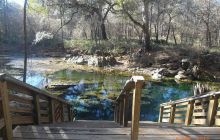 Floryda - grudzień 2010