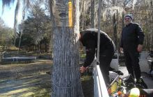 Floryda - grudzień 2010