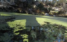 Floryda - grudzień 2010