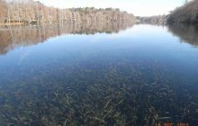 Floryda - grudzień 2010