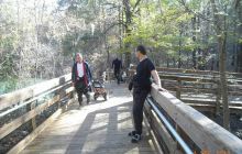 Floryda - grudzień 2010