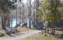 Floryda - grudzień 2010