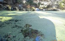 Floryda - grudzień 2010