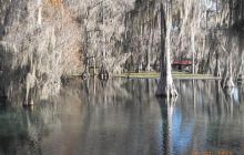 Floryda - grudzień 2010