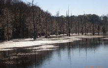 Floryda - grudzień 2010