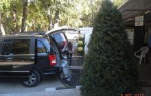 Floryda - grudzień 2010