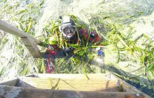 Floryda - grudzień 2010