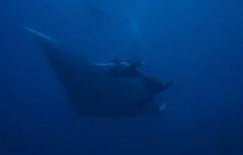 Tajlandia - luty 2007