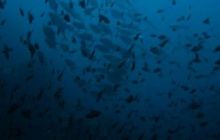 Tajlandia - luty 2007