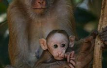 Tajlandia - luty 2007