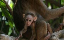 Tajlandia - luty 2007