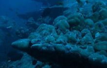 Tajlandia - luty 2007