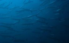 Tajlandia - luty 2007