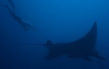 Tajlandia - luty 2007