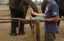 Tajlandia - luty 2007