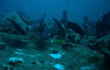 Tajlandia - luty 2007