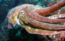 Tajlandia - luty 2007