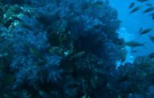 Tajlandia - luty 2007