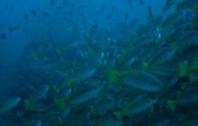 Tajlandia - luty 2007